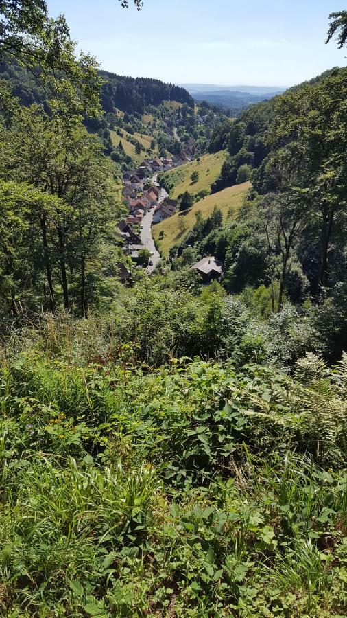 Fewo Bergblick Osterode am Harz 외부 사진
