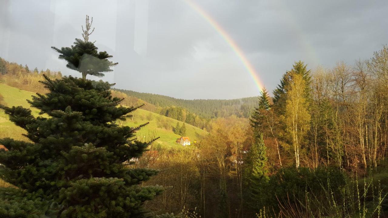 Fewo Bergblick Osterode am Harz 외부 사진